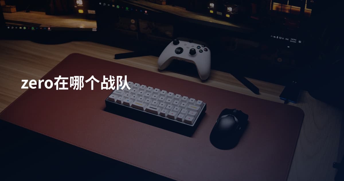 zero在哪个战队