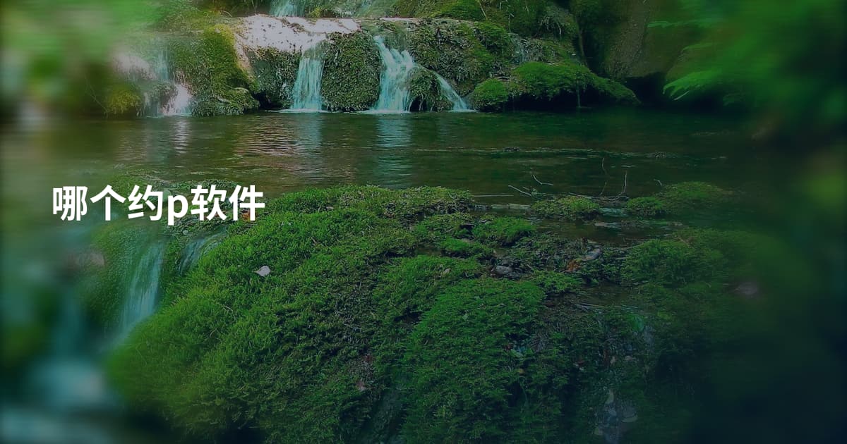 哪个约p软件