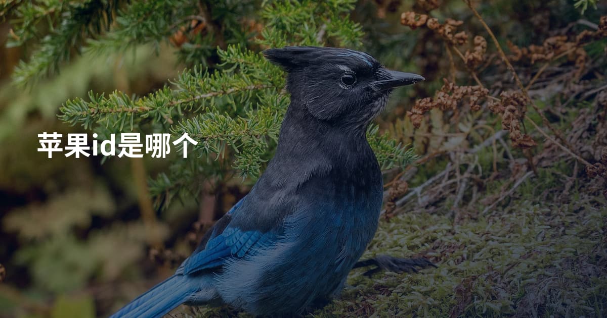 苹果id是哪个
