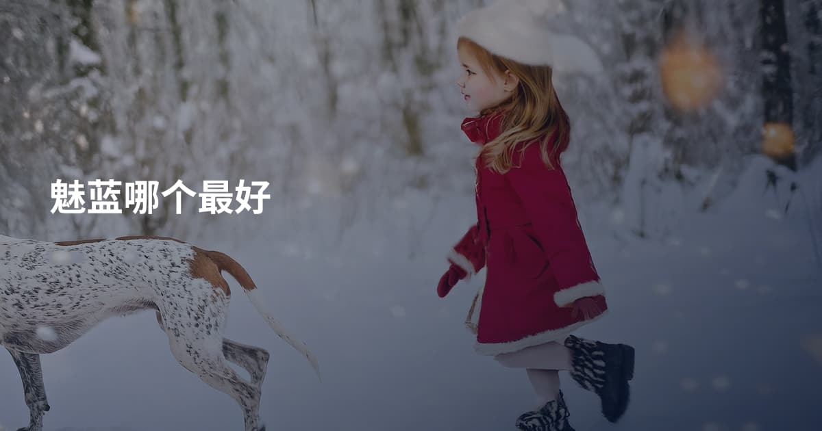 魅蓝哪个最好