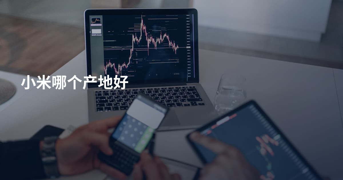 小米哪个产地好