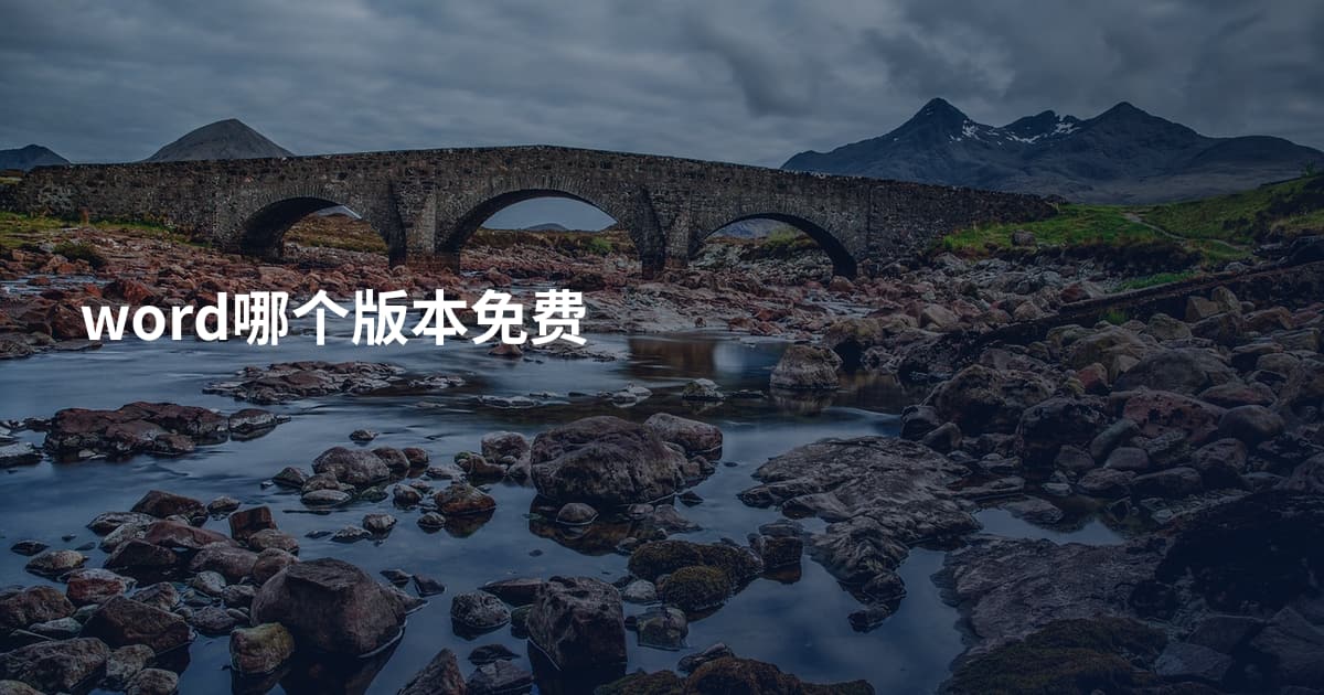 word哪个版本免费