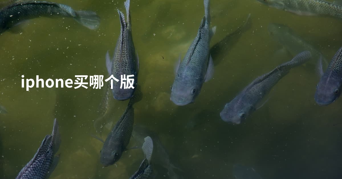 iphone买哪个版