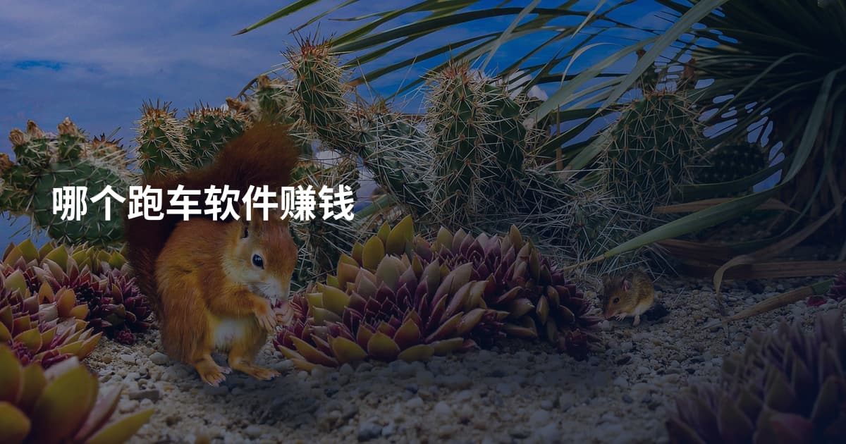 哪个跑车软件赚钱