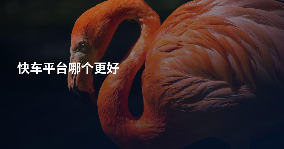 快车平台哪个更好
