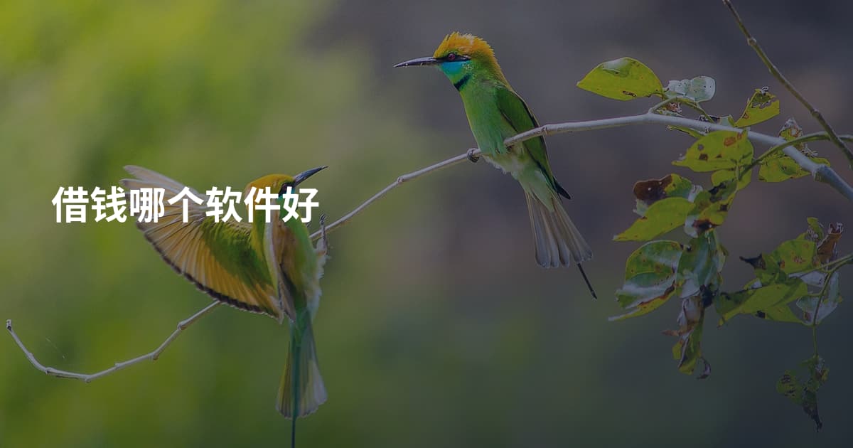 借钱哪个软件好