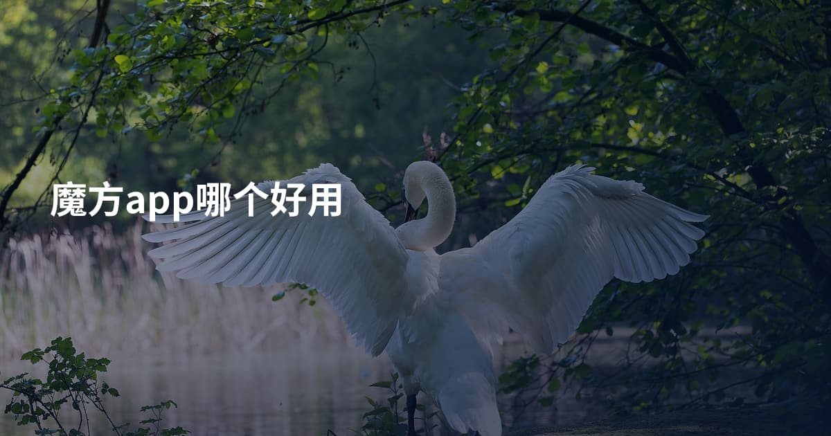 魔方app哪个好用