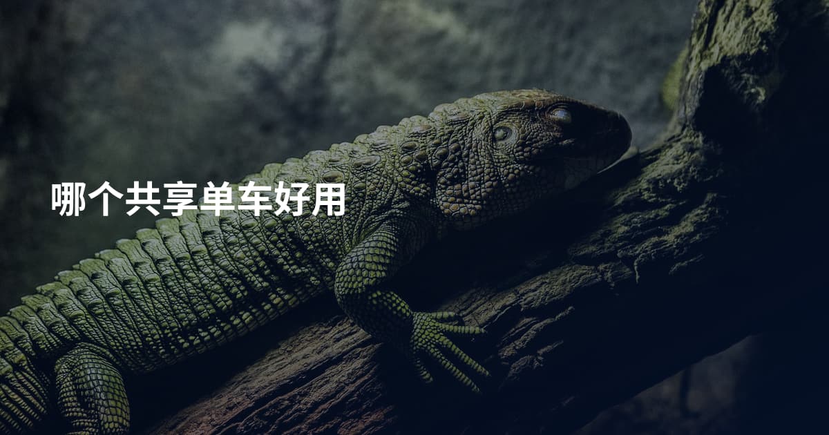 哪个共享单车好用