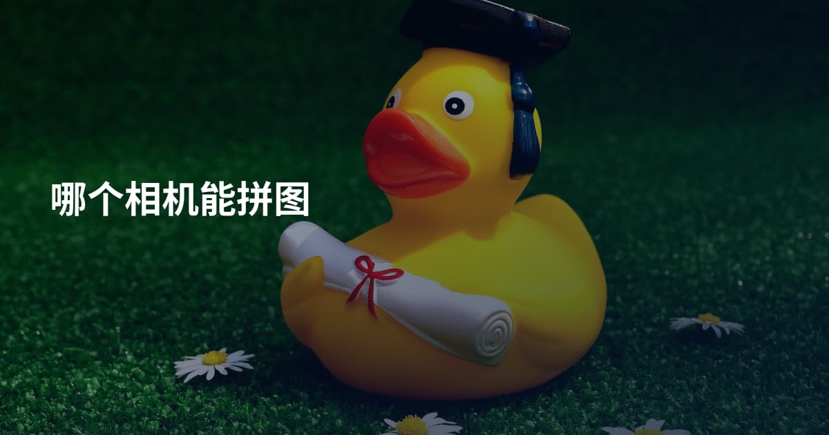 哪个相机能拼图
