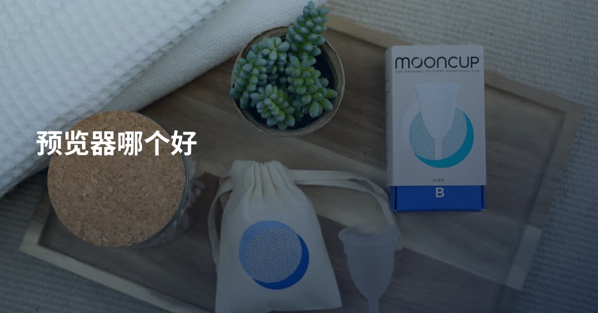 预览器哪个好