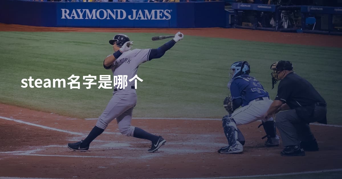 steam名字是哪个