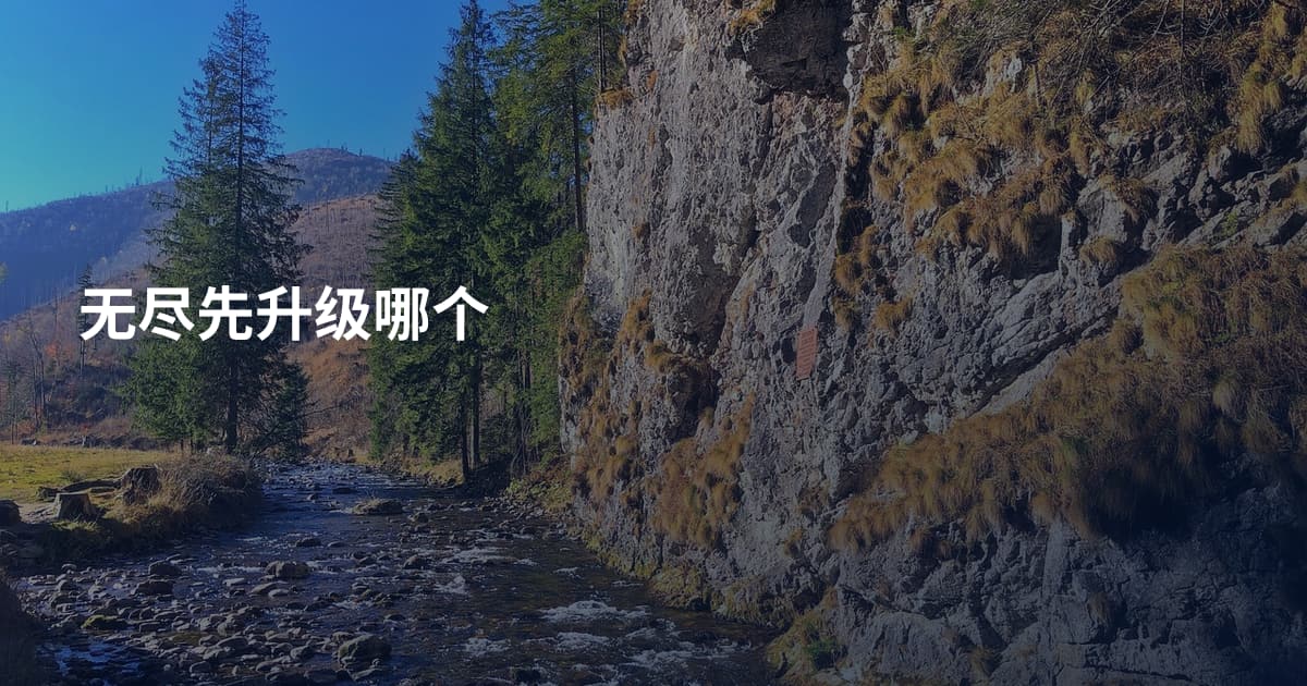 无尽先升级哪个