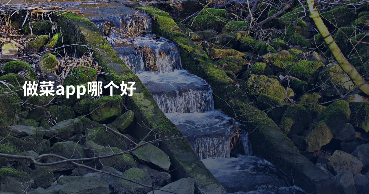做菜app哪个好