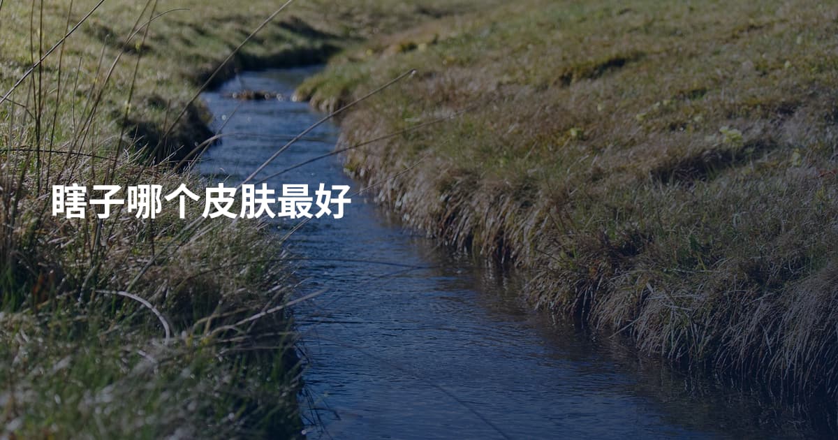 瞎子哪个皮肤最好