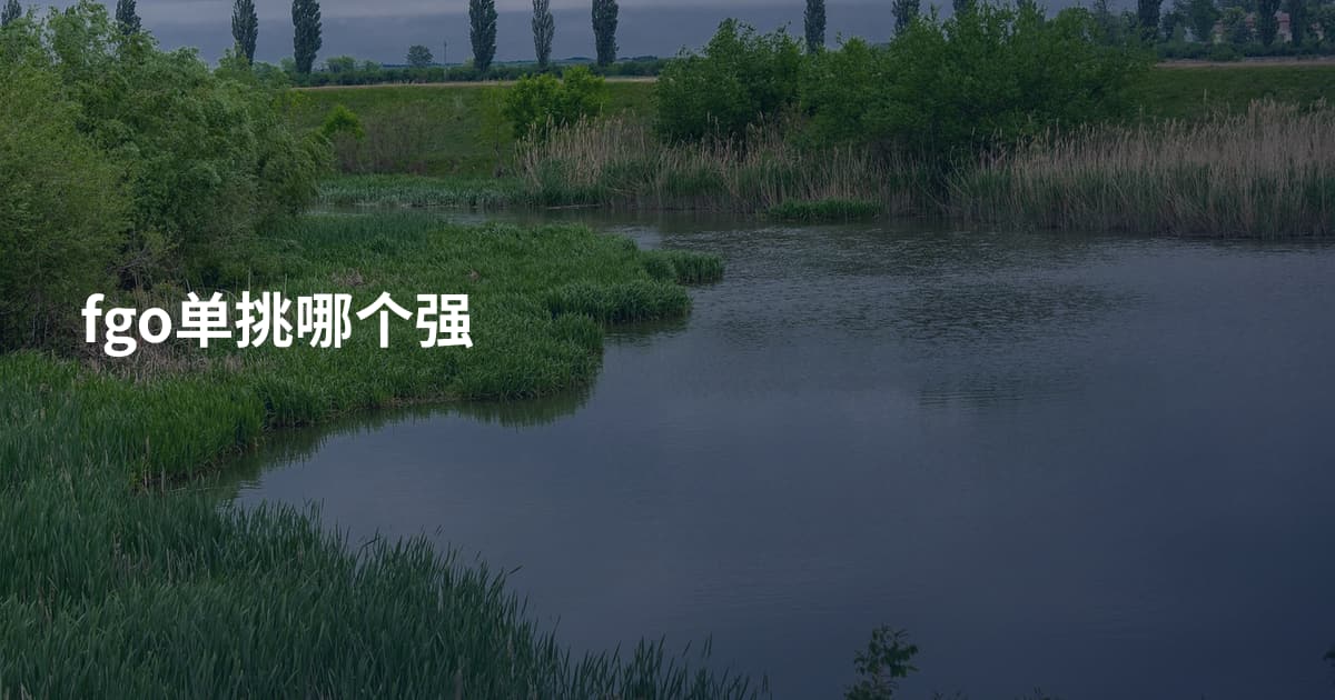 fgo单挑哪个强