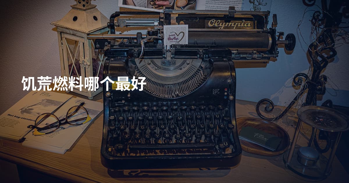 饥荒燃料哪个最好