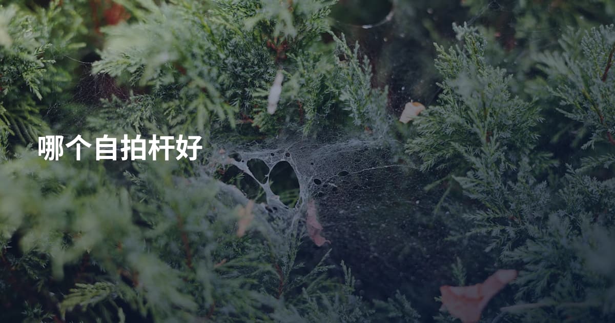 哪个自拍杆好