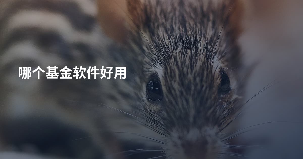 哪个基金软件好用
