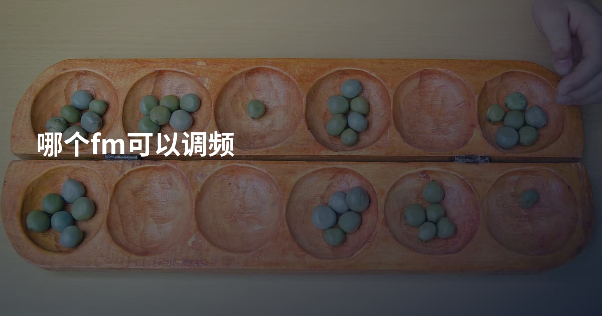 哪个fm可以调频