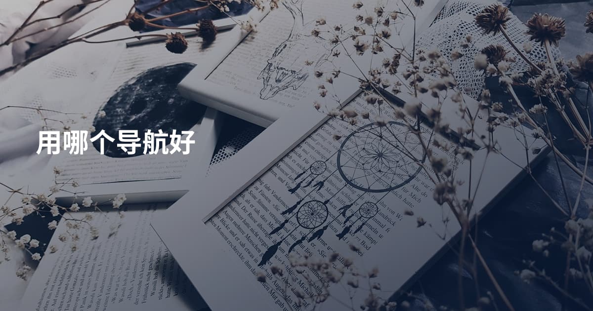 用哪个导航好