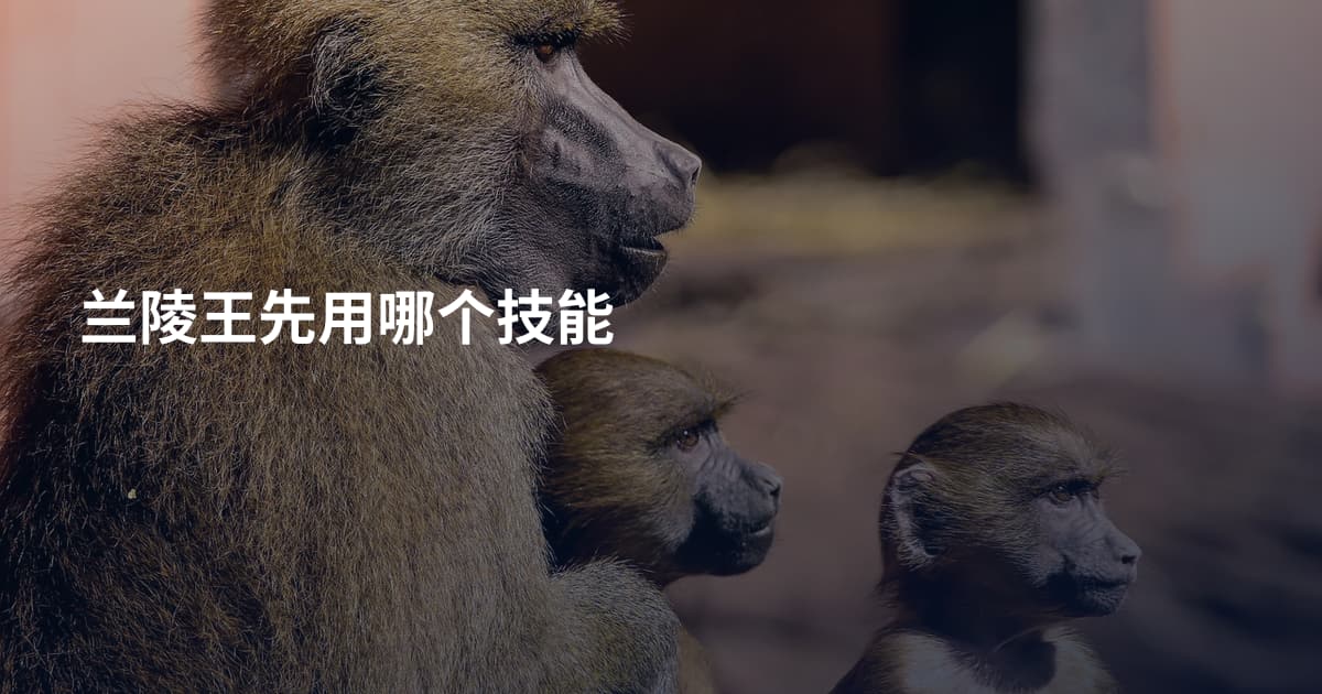 兰陵王先用哪个技能