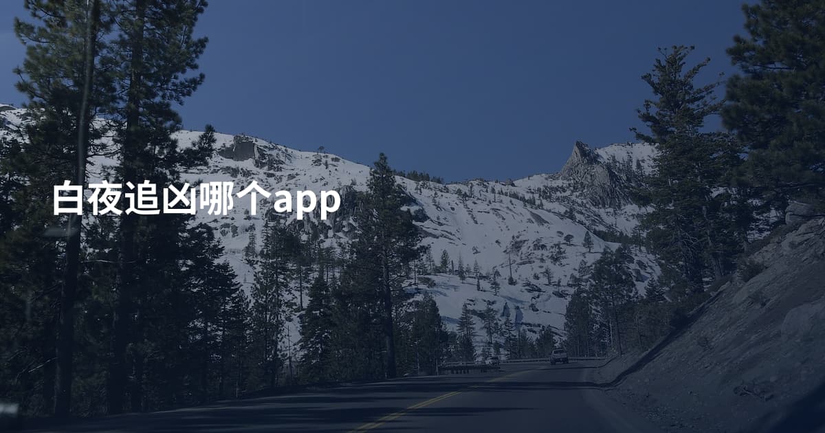 白夜追凶哪个app