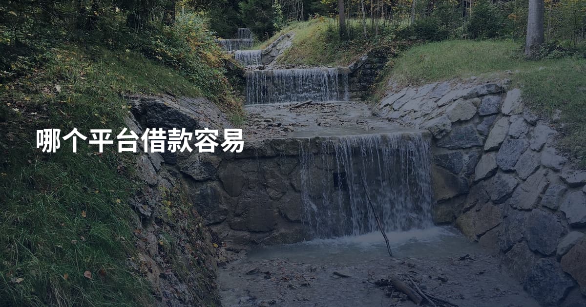 哪个平台借款容易