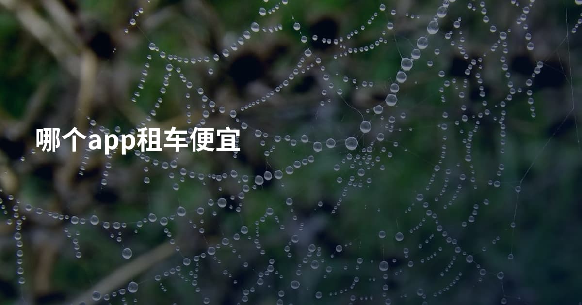 哪个app租车便宜