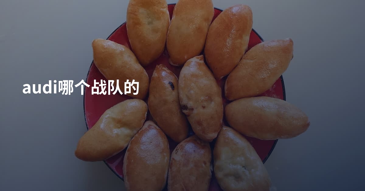 audi哪个战队的