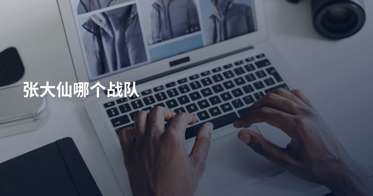 张大仙哪个战队