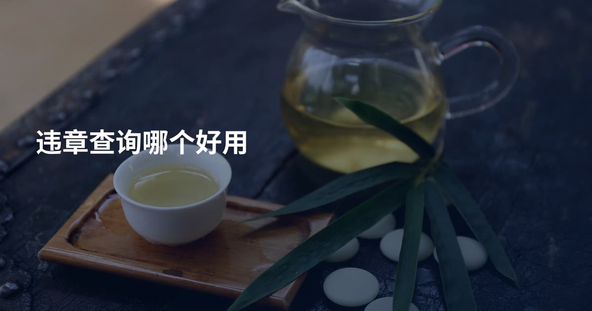 违章查询哪个好用