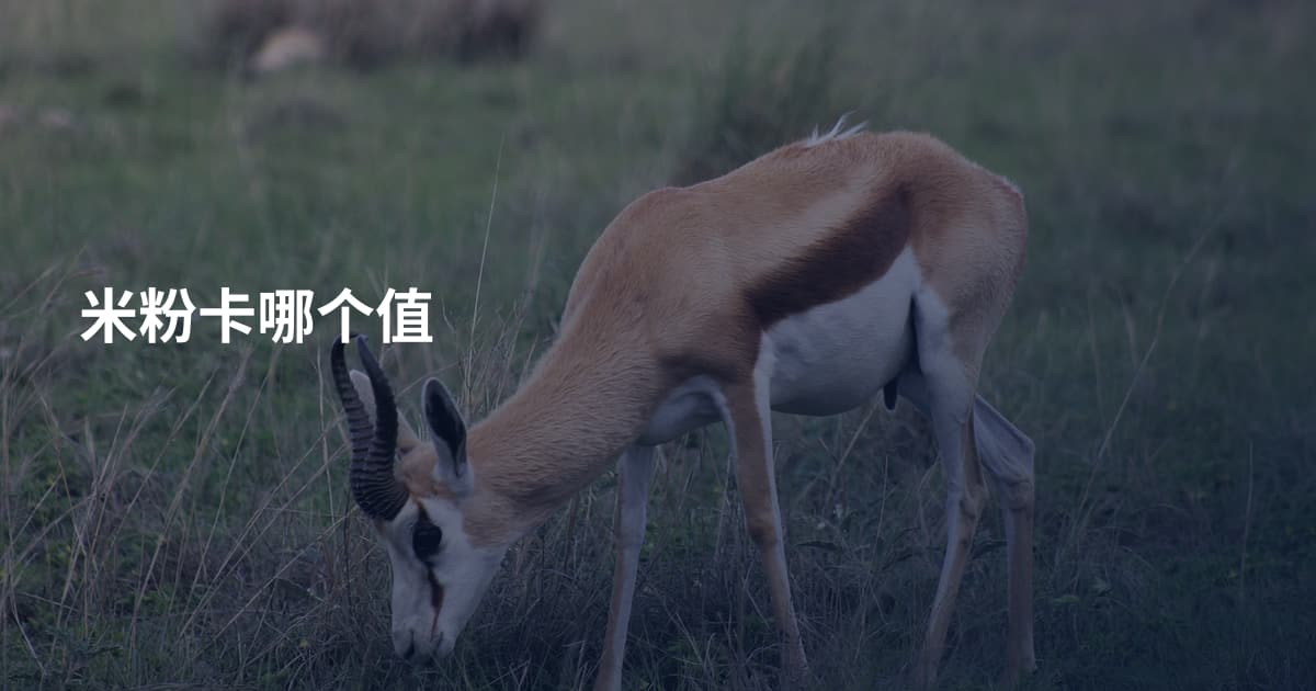 米粉卡哪个值