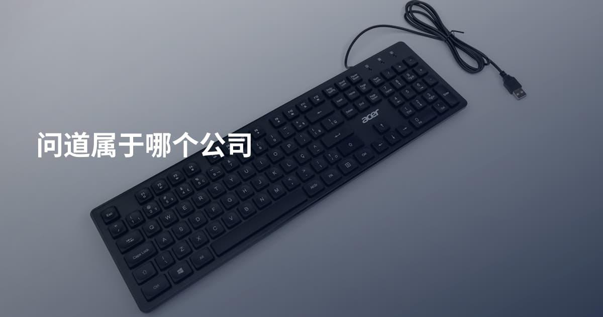 问道属于哪个公司