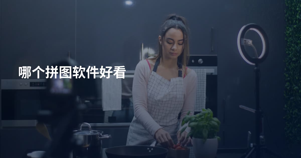 哪个拼图软件好看