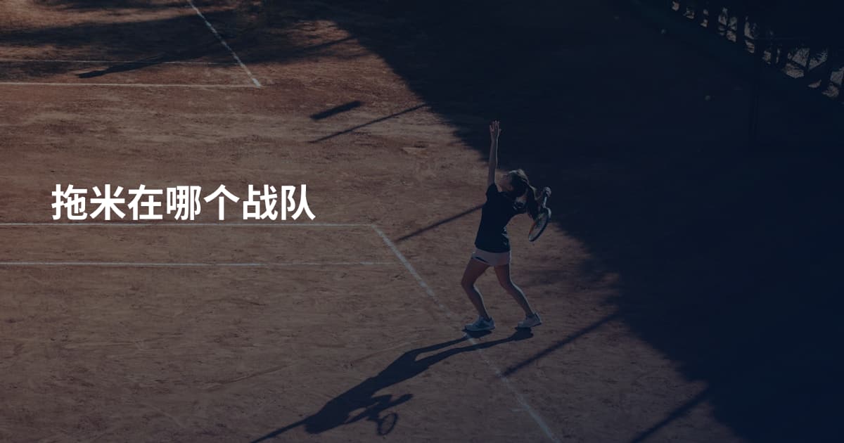 拖米在哪个战队