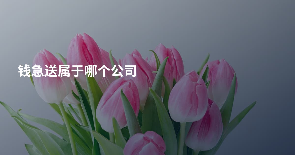 钱急送属于哪个公司
