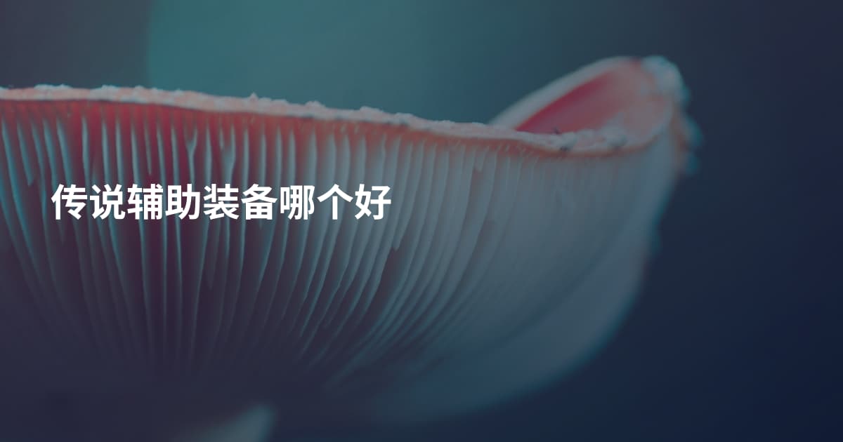 传说辅助装备哪个好