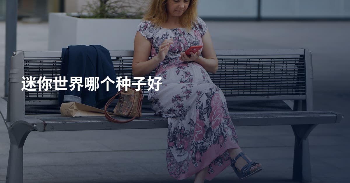 迷你世界哪个种子好