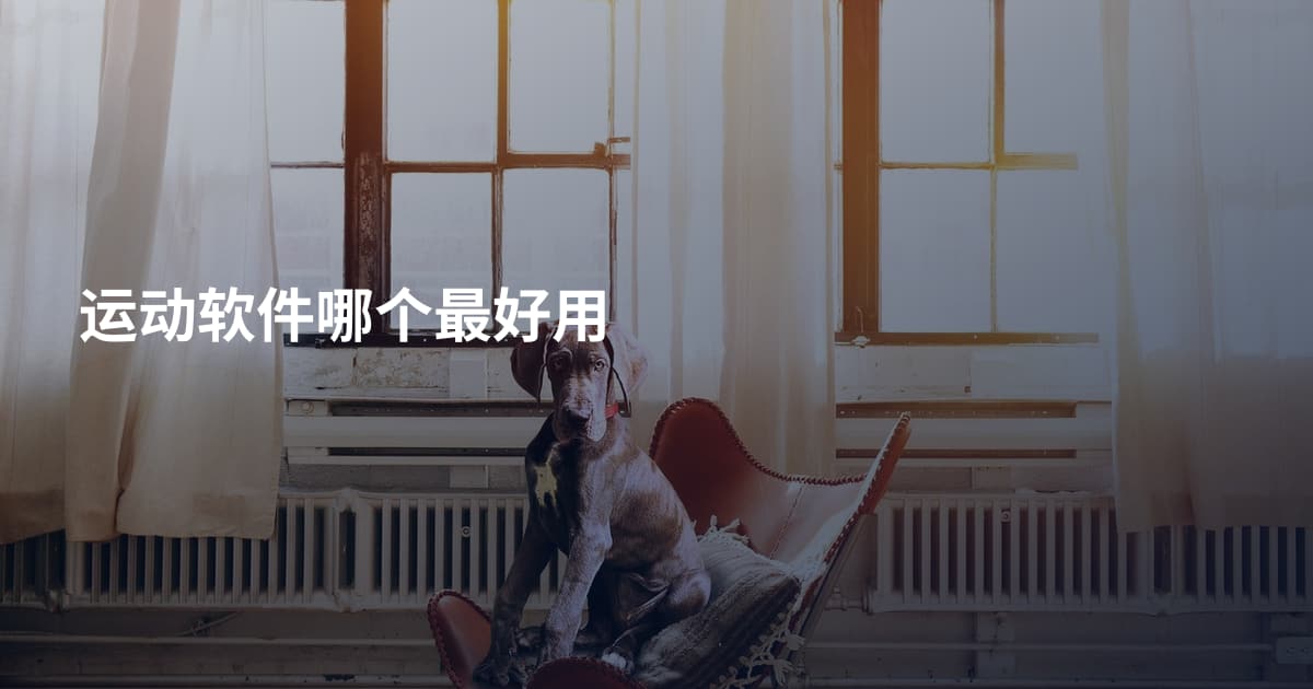 运动软件哪个最好用