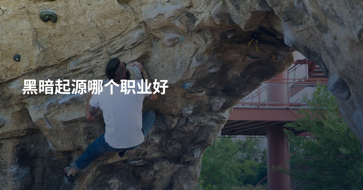 黑暗起源哪个职业好