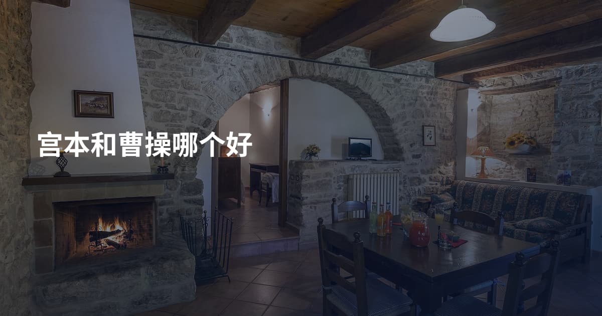 宫本和曹操哪个好