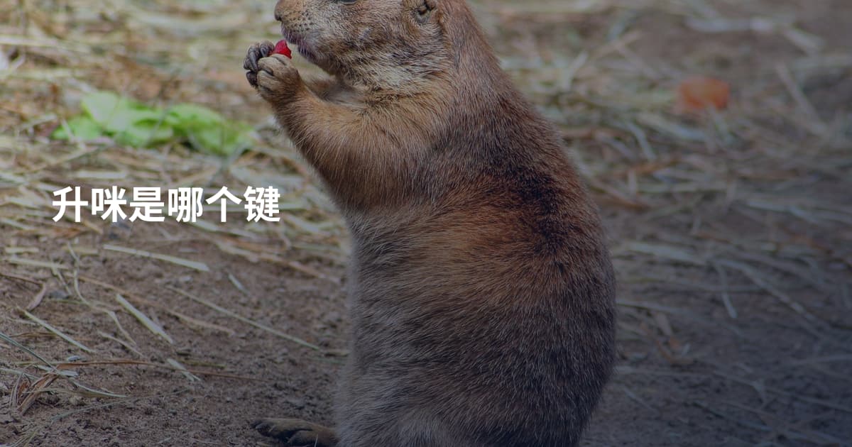 升咪是哪个键