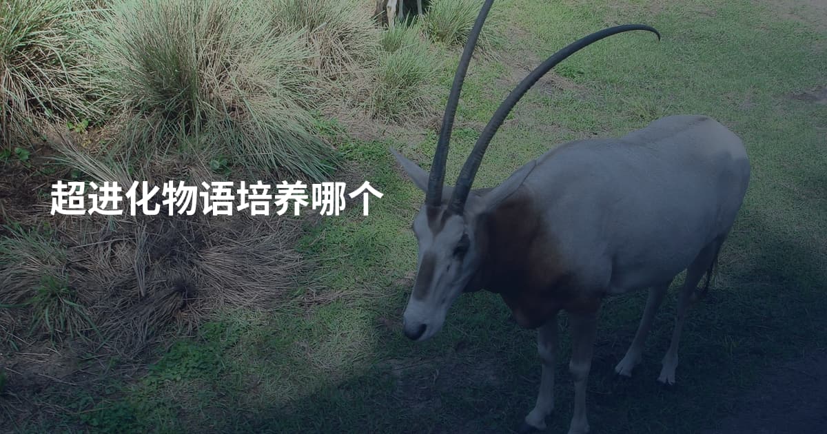 超进化物语培养哪个