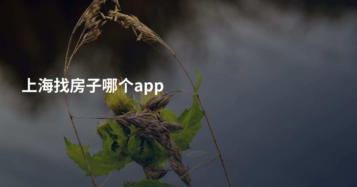 上海找房子哪个app