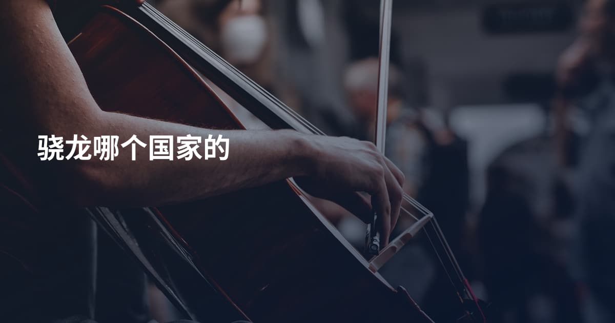 骁龙哪个国家的