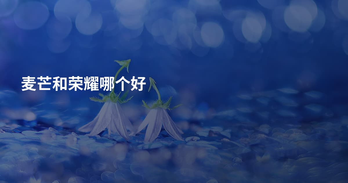 麦芒和荣耀哪个好