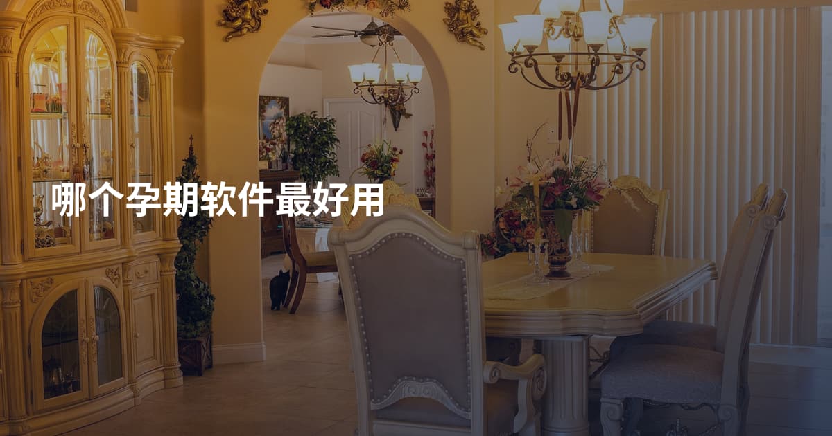 哪个孕期软件最好用