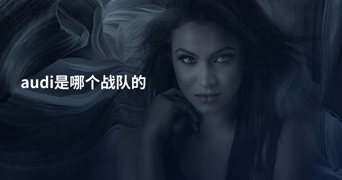 audi是哪个战队的