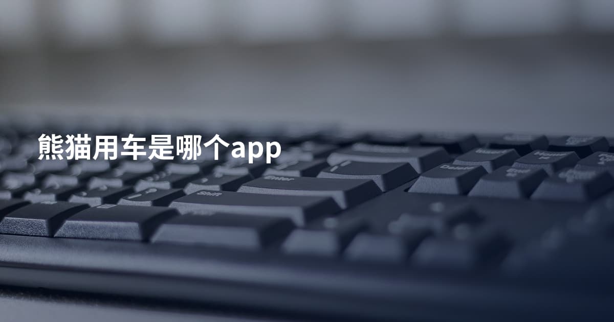 熊猫用车是哪个app