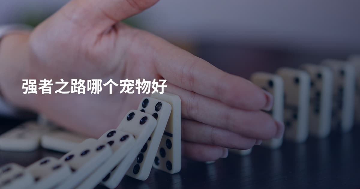 强者之路哪个宠物好